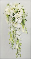 www.floristic.ru - .  