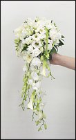 www.floristic.ru - .  