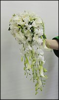 www.floristic.ru - .  