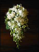 www.floristic.ru - . !!!!!