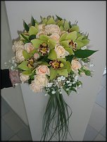 www.floristic.ru - .  