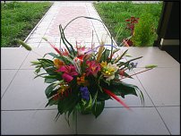 www.floristic.ru - .    !!!