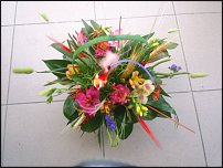 www.floristic.ru - .    !!!