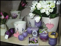 www.floristic.ru - .       - ?