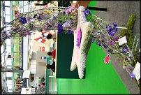 www.floristic.ru - . Euroflora 2011, Italy