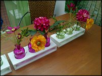 www.floristic.ru - .       - ?