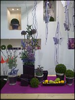 www.floristic.ru - .       - ?