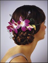 www.floristic.ru - .    