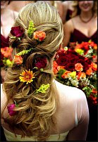 www.floristic.ru - .    