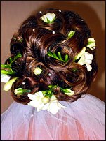 www.floristic.ru - .    