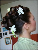 www.floristic.ru - .    