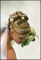 www.floristic.ru - .    