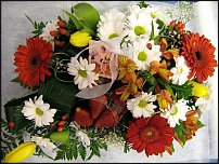 www.floristic.ru - .  