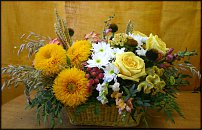 www.floristic.ru - . !!!!!