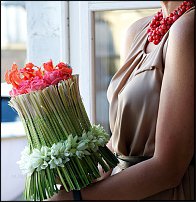 www.floristic.ru - . -   " 2011.  ..."