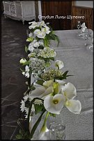 www.floristic.ru - .  .