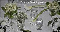 www.floristic.ru - .  .