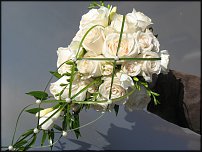 www.floristic.ru - .    