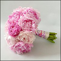 www.floristic.ru - . 