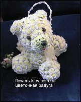 www.floristic.ru - .   ....