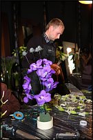 www.floristic.ru - .       , 