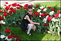 www.floristic.ru - .       , 