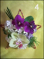 www.floristic.ru - Флористика. Май - 2011 - Петлица