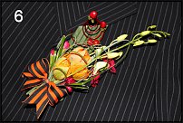 www.floristic.ru - .  - 2011 - 
