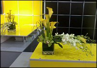 www.floristic.ru - .    