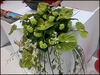 www.floristic.ru - .    