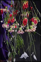 www.floristic.ru - .       , 