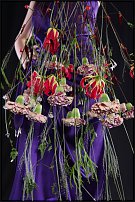 www.floristic.ru - .       , 