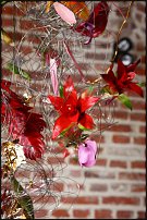    
: IMG_1867.JPG
: 94
:	243.5 
ID:	55363