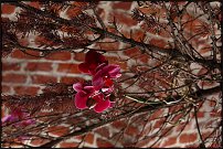     
: IMG_1871.JPG
: 98
:	272.1 
ID:	55365