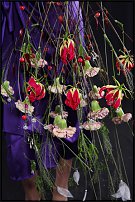 www.floristic.ru - .       , 