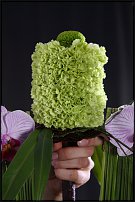 www.floristic.ru - .       , 