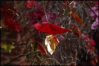     
: IMG_1889.JPG
: 91
:	183.5 
ID:	55369