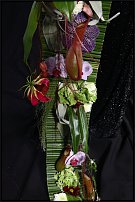 www.floristic.ru - .       , 