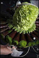 www.floristic.ru - .       , 