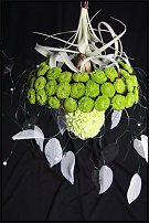 www.floristic.ru - .       , 