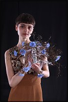 www.floristic.ru - .       , 