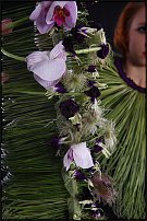 www.floristic.ru - .       , 