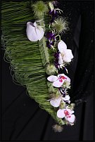 www.floristic.ru - .       , 