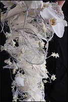 www.floristic.ru - .       , 
