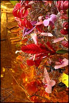     
: IMG_1918.JPG
: 94
:	310.7 
ID:	55377