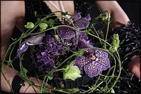 www.floristic.ru - .       , 