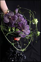 www.floristic.ru - .       , 