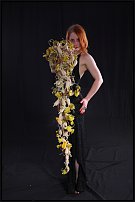 www.floristic.ru - .       , 