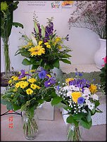 www.floristic.ru - .       - ?