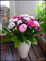 www.floristic.ru - .       - ?